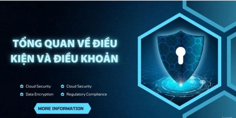 Điều kiện điều khoản Các nội dung chủ chốt trong Điều kiện điều khoản