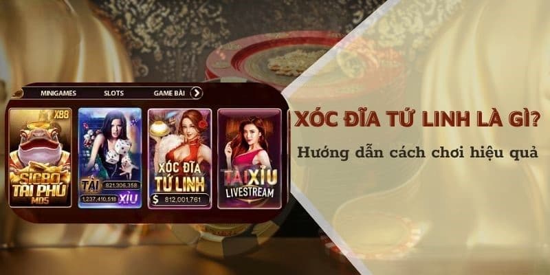 Tại sao xóc đĩa tứ linh đang trở thành xu hướng?